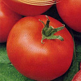 Томат Дар Заволжья Томат Дар Заволжья