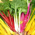 Мангольд  Радуга (смесь)
